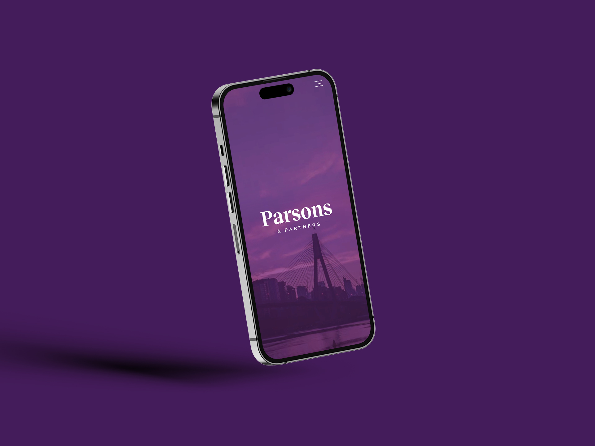 Professional Services Website Design mockup