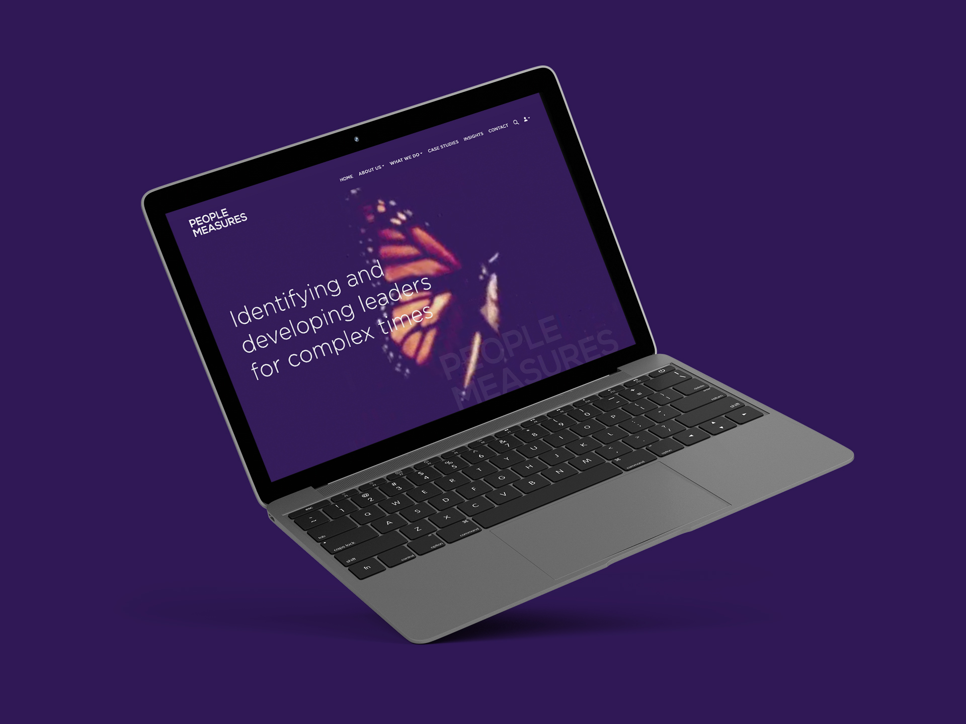 Professional Services Website Design mockups