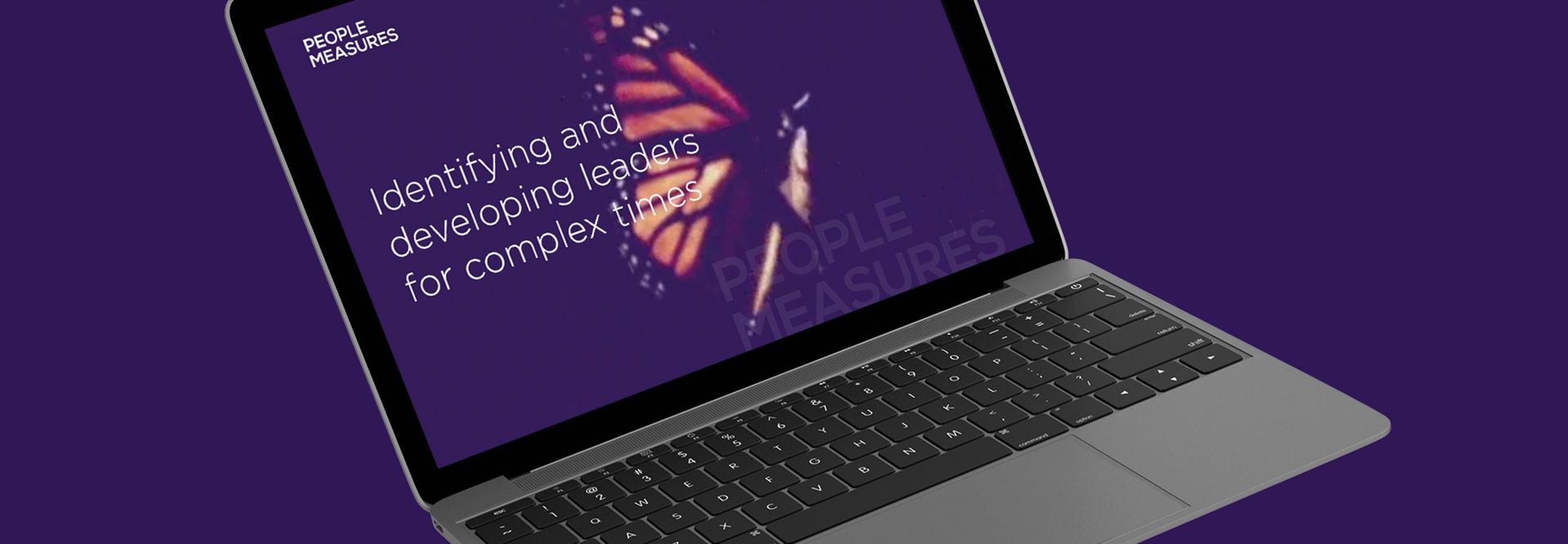 Professional Services Website Design mockups