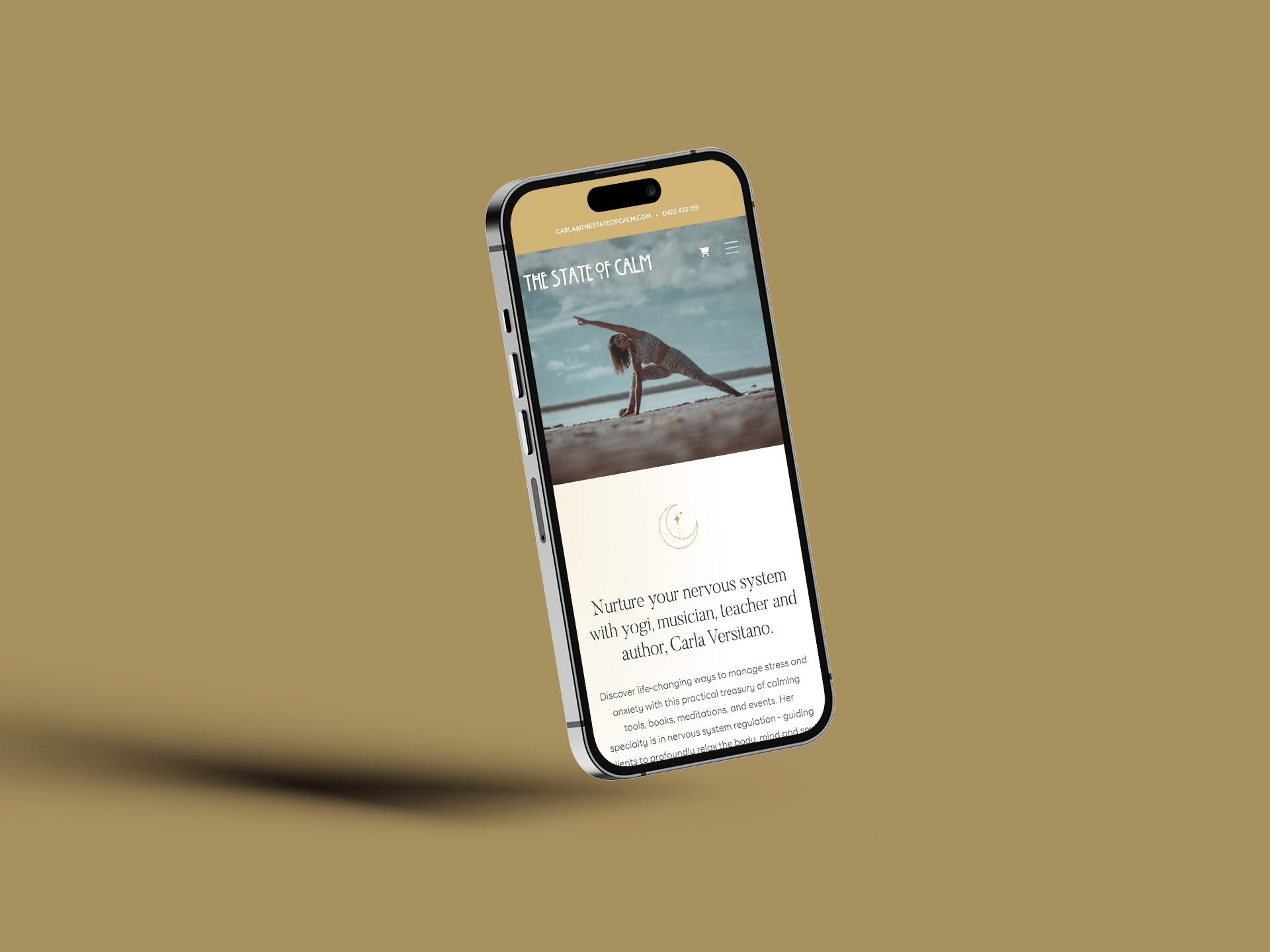 Health and Wellness Website mockup